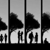 vita ciclo